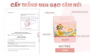 kem cấy trắng men gạo sâm núi motree
