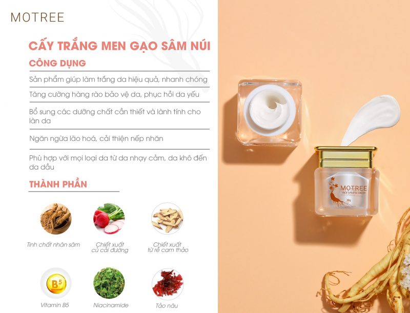 kem cấy trắng men gạo sâm núi motree